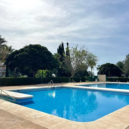 Hoja De Palma * Benalmádena