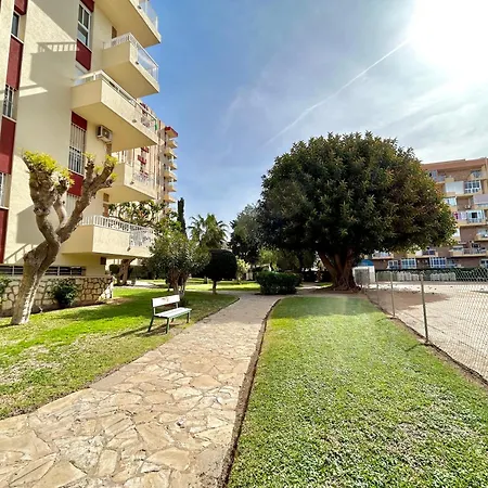 Hoja De Palma * Benalmádena