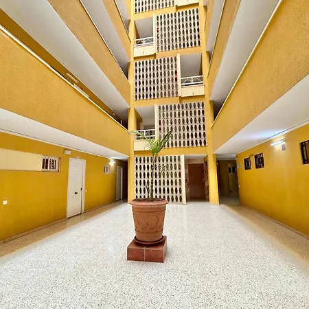 Hoja De Palma * Benalmádena