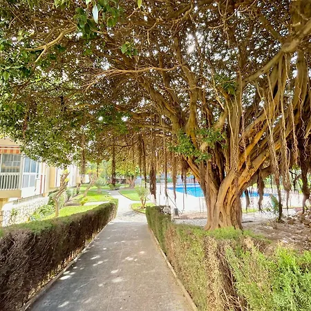 Apartament Hoja De Palma